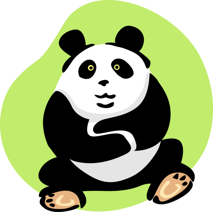 Vector Illustration of Chinese Giant Panda Bear Endangered Species Bear