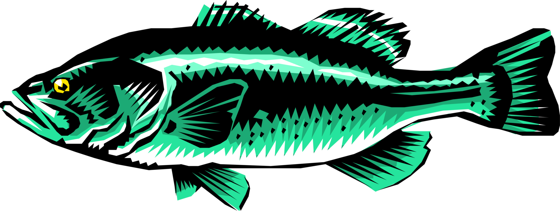 Vector Illustration of Freshwater Gamefish Largemouth Bass Fish