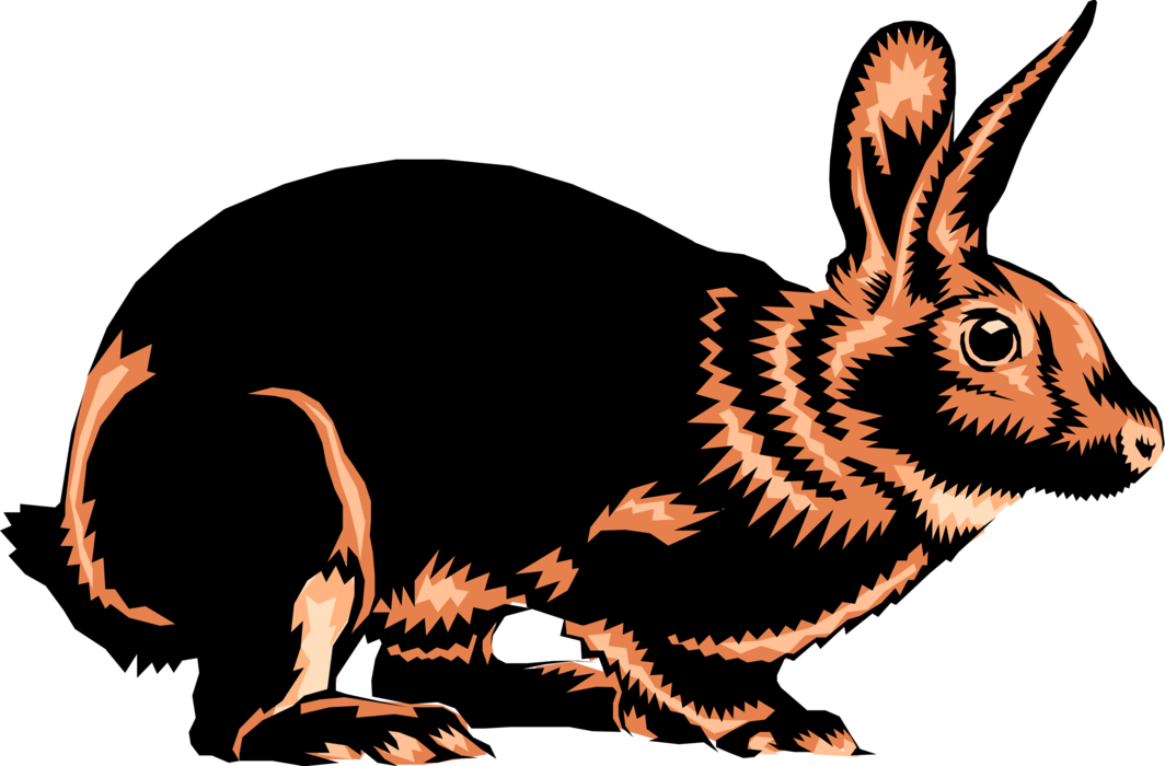 Vector Illustration of Small Mammal Rabbit Bunny