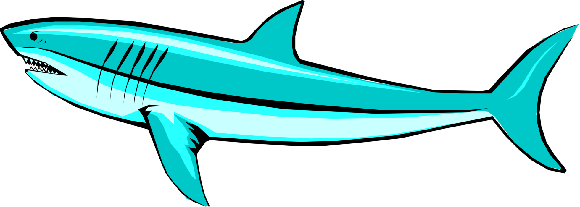 Vector Illustration of Marine Predator Shark Swimming