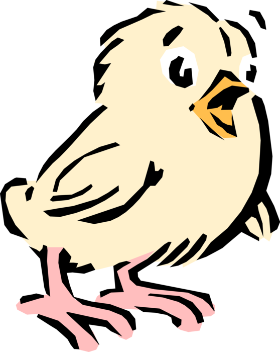 Vector Illustration of Cartoon Baby Yellow Chick Bird
