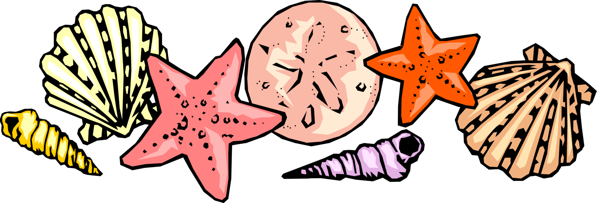Vector Illustration of Assorted Marine Seashells