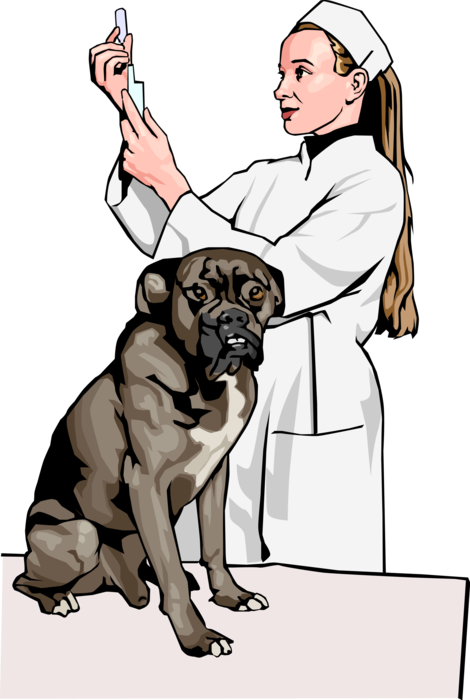 Vector Illustration of Veterinary Physician Prepares Hypodermic Syringe for Dog's Injection
