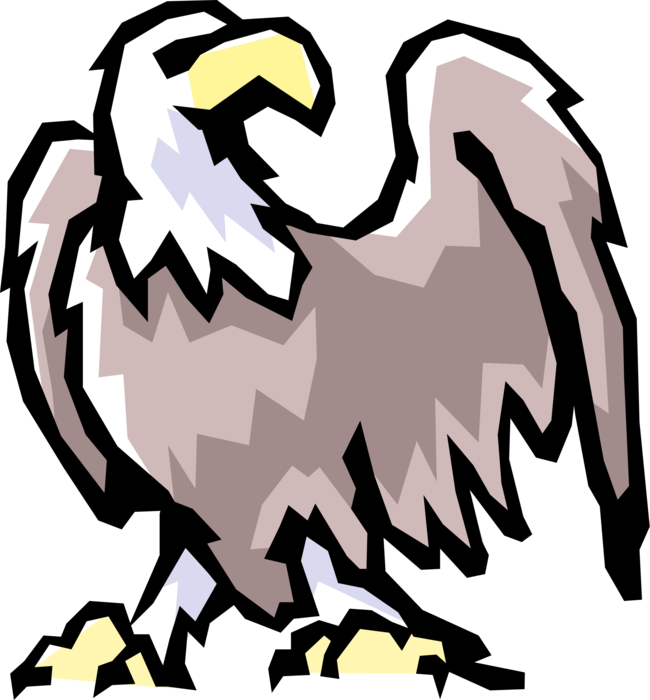Vector Illustration of American Bald Eagle National Bird of United States of America Spreads Its Wings