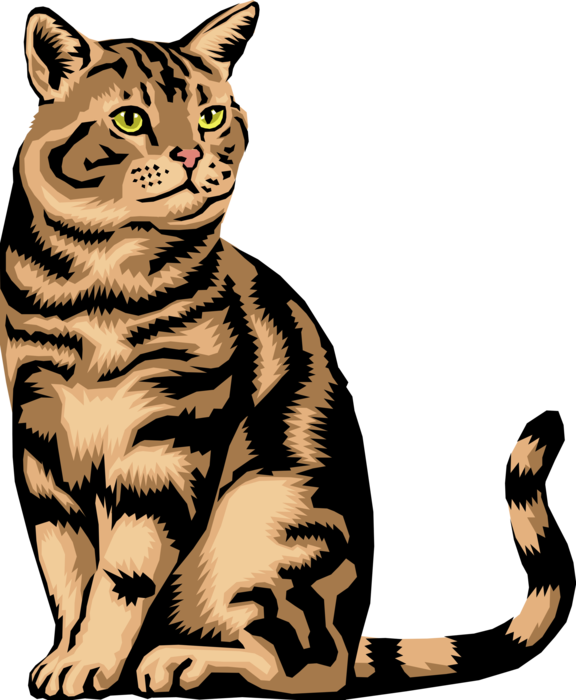 Vector Illustration of Small Domesticated Family Pet Kitten Cat