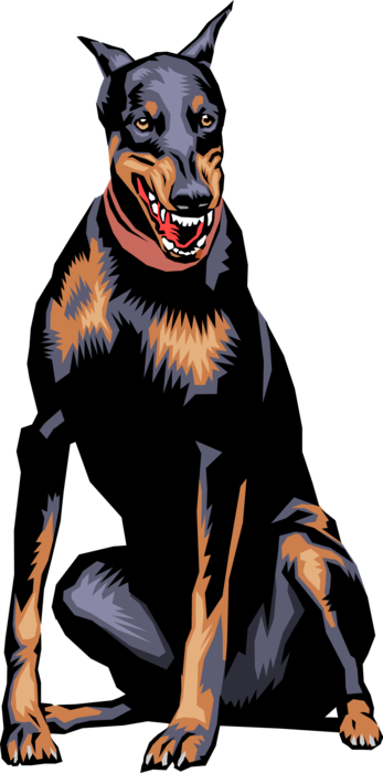 Vector Illustration of Domesticated Canid Doberman Pinscher Guard Dog
