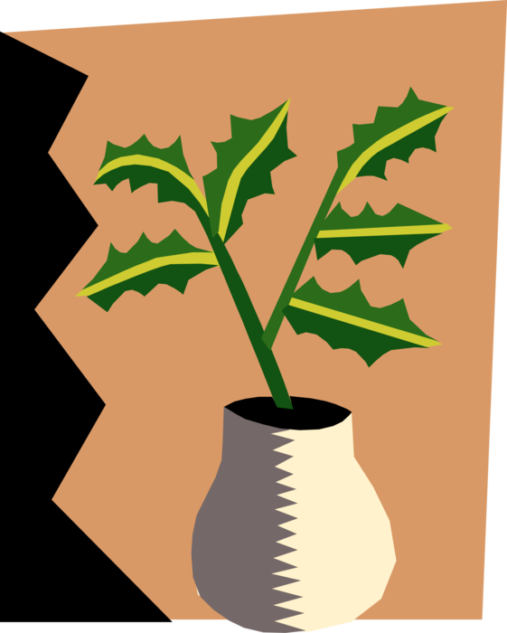Vector Illustration of Green Leaves with Yellow Striped in Vase