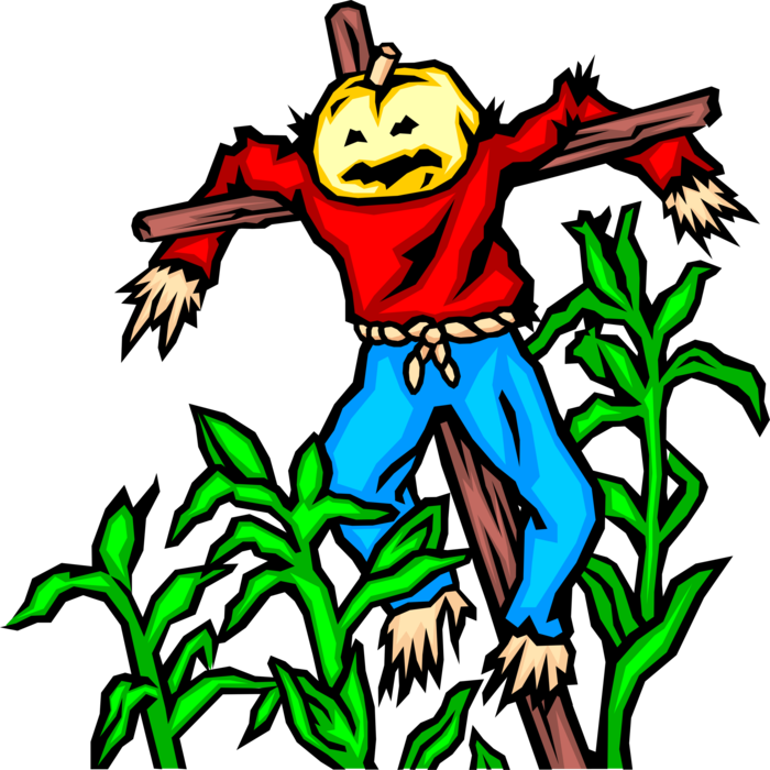 Vector Illustration of Fall or Autumn Scarecrow with Corn in Field