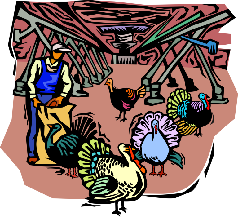 Vector Illustration of Farmer Feeding Turkeys in Farm Operation