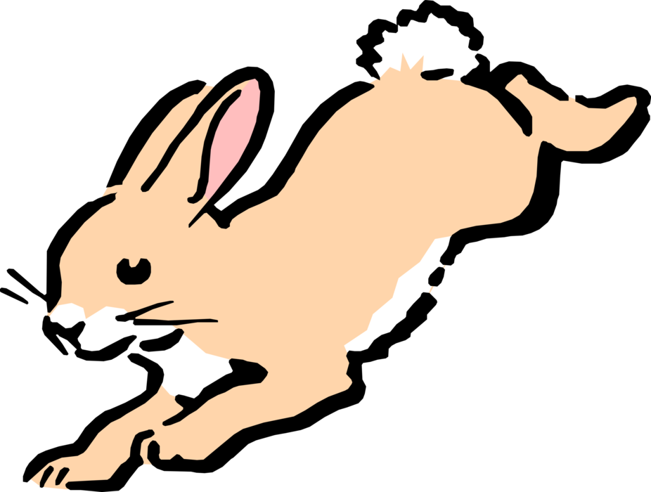 Vector Illustration of Cartoon Rabbit Hops