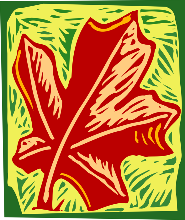 Vector Illustration of Deciduous Tree Vegetation Red Leaf Design