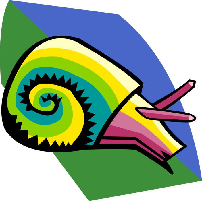 Vector Illustration of Snail or Terrestrial Gastropod Mollusk