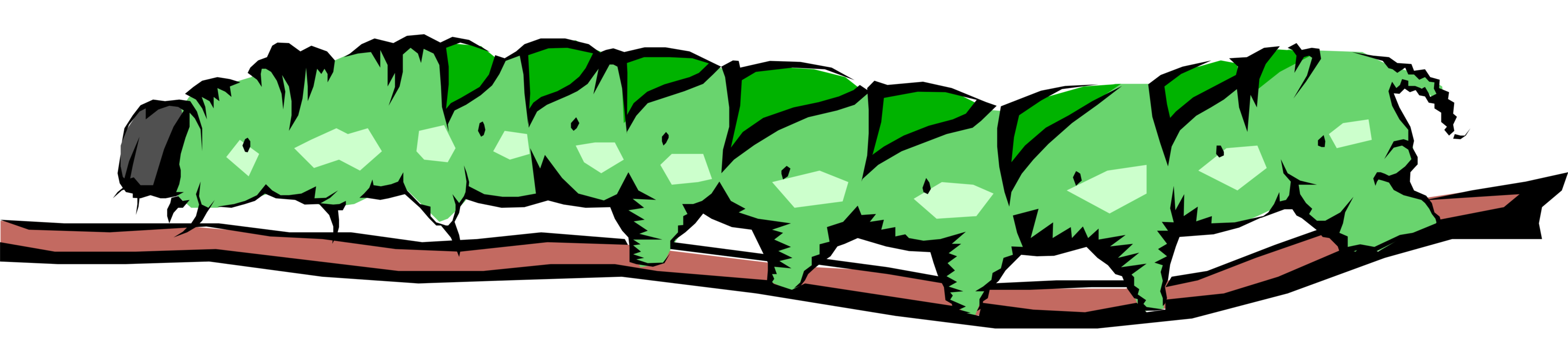 Vector Illustration of Green Caterpillar Insect Crawls Along Branch