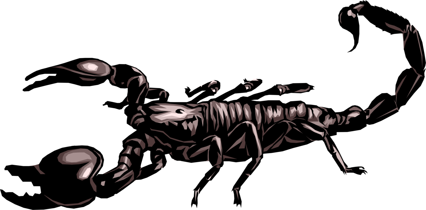 Vector Illustration of Predatory Arachnid Scorpion with Venomous Stinger