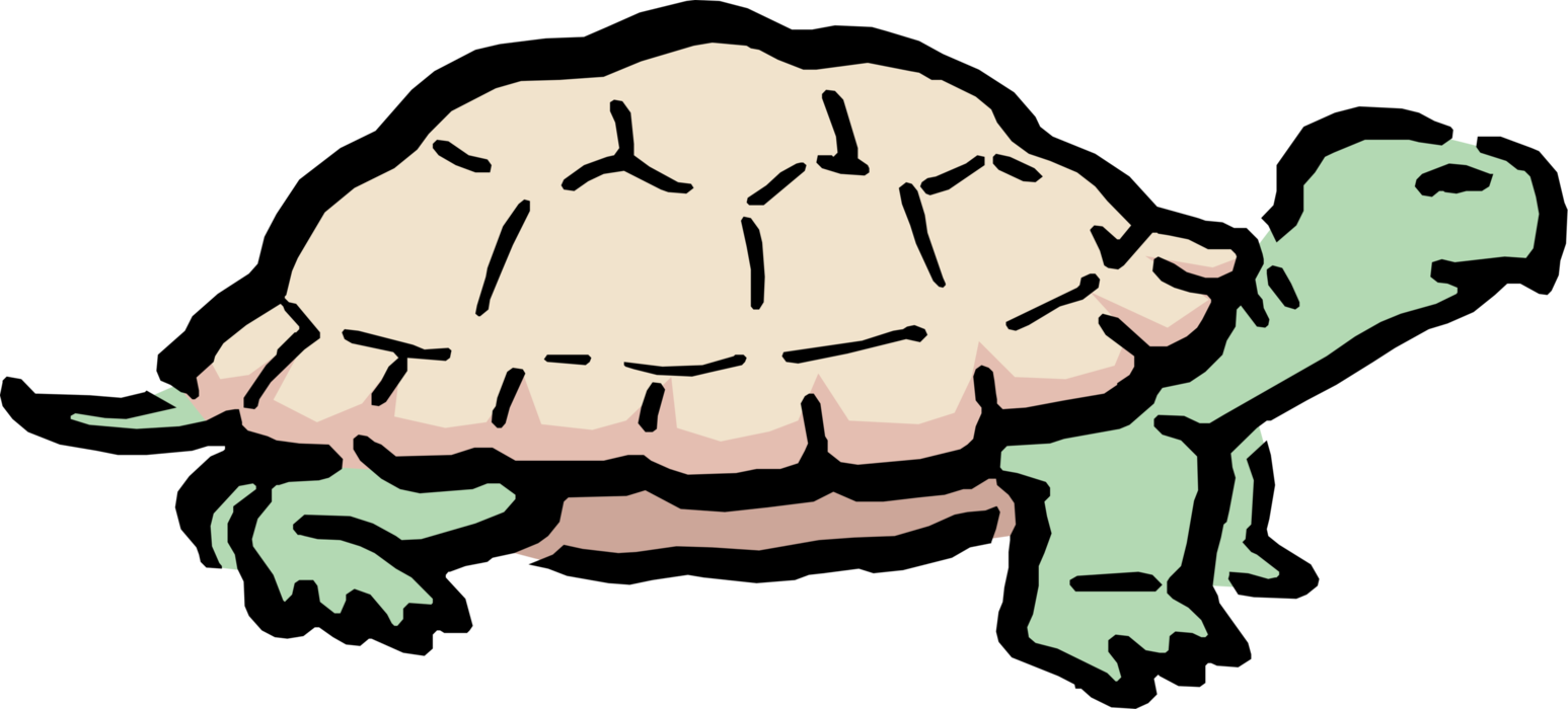 Vector Illustration of Cartoon Reptile Turtle or Tortoise