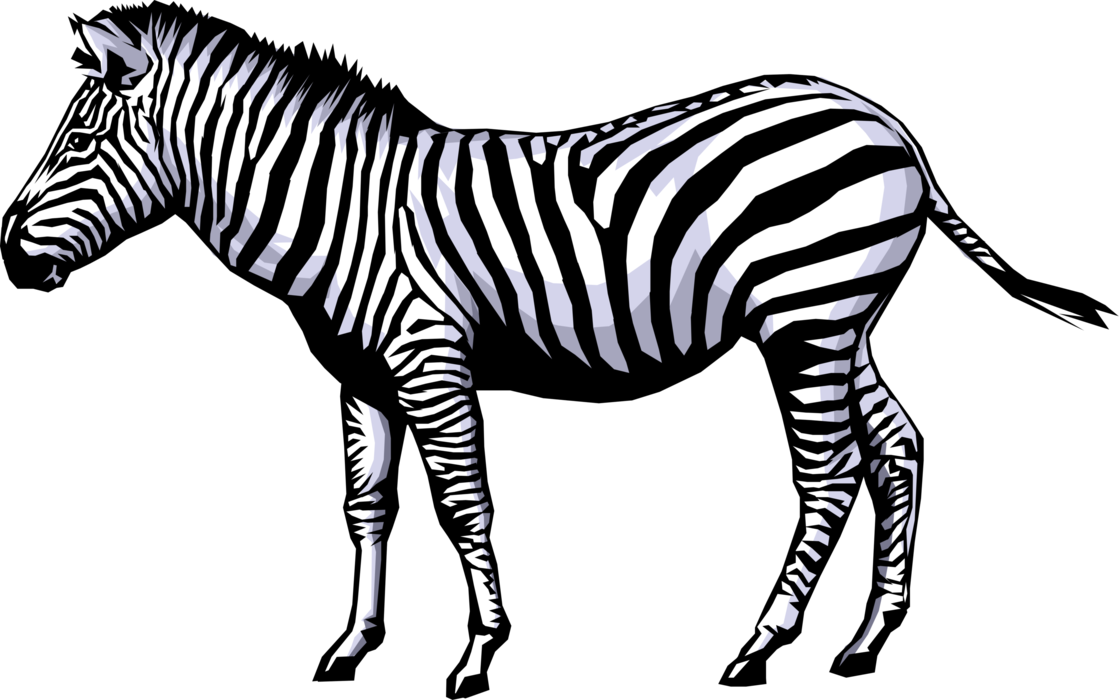 Vector Illustration of Striped African Equid Zebra Horse