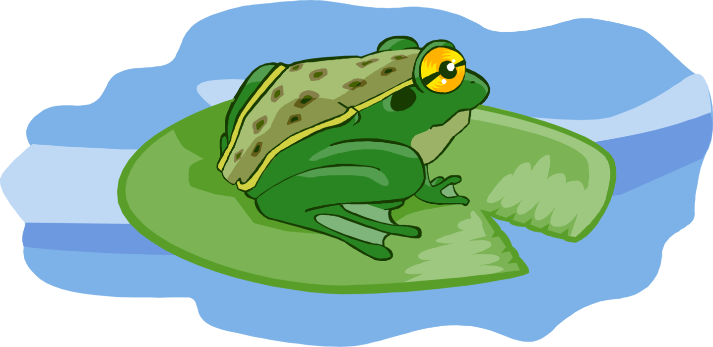 Vector Illustration of Amphibian Toad or Frog Sits on Leaf