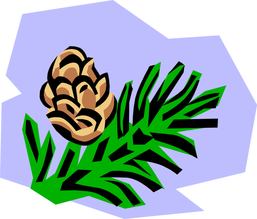 Vector Illustration of Coniferous Evergreen Fir Tree Conifer Pine Cone