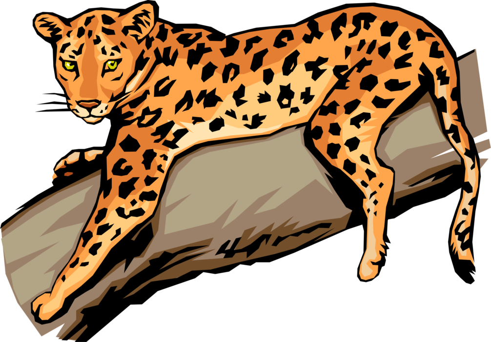 Vector Illustration of Large African Carnivore Leopard on Tree Branch