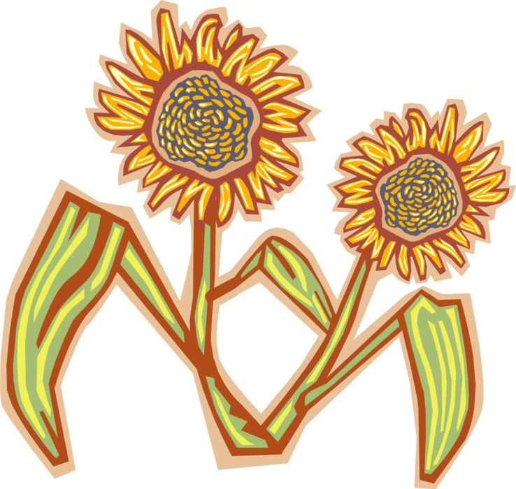 Vector Illustration of Sunflowers in Late Autumn Fall