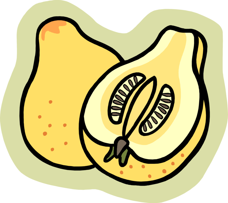 Vector Illustration of Sliced Papaya Edible Fruit