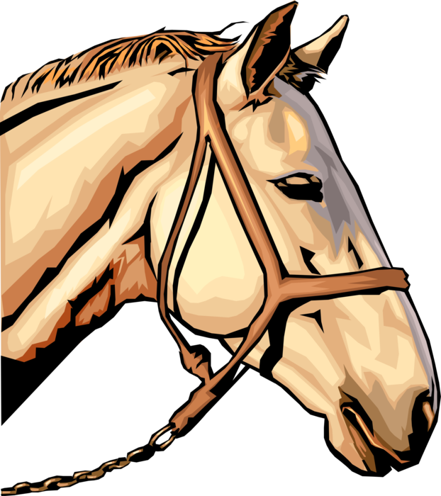 Vector Illustration of Quadruped Equine Horse Head with Bridle