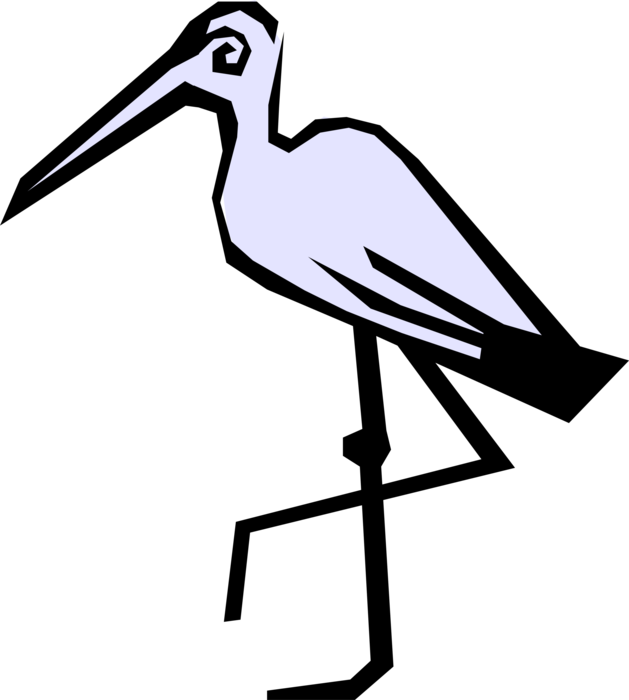 Vector Illustration of Egret Crane Bird Stands on One Leg