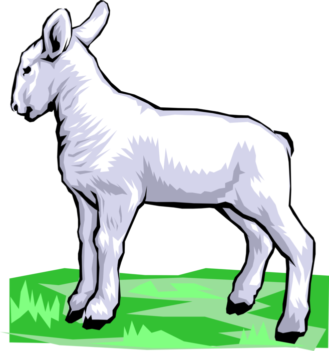 Vector Illustration of Newborn Baby Lamb Sheep Standing