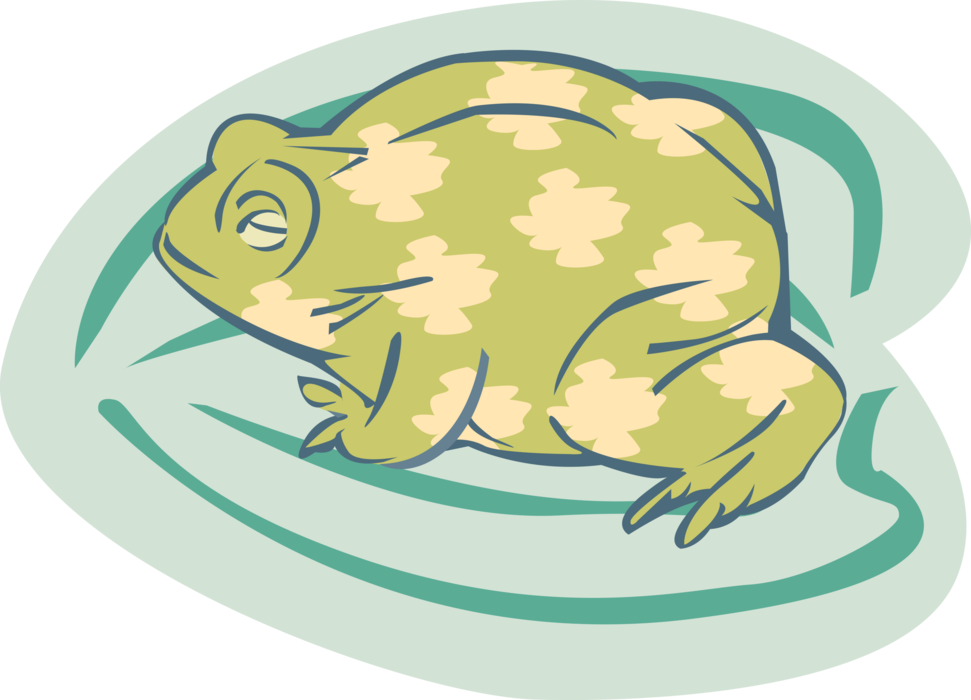 Vector Illustration of Amphibian Toad or Frog Sits on Leaf