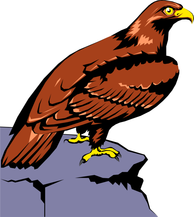 Vector Illustration of Bird of Prey Raptor Eagle Perched on Stone Ledge