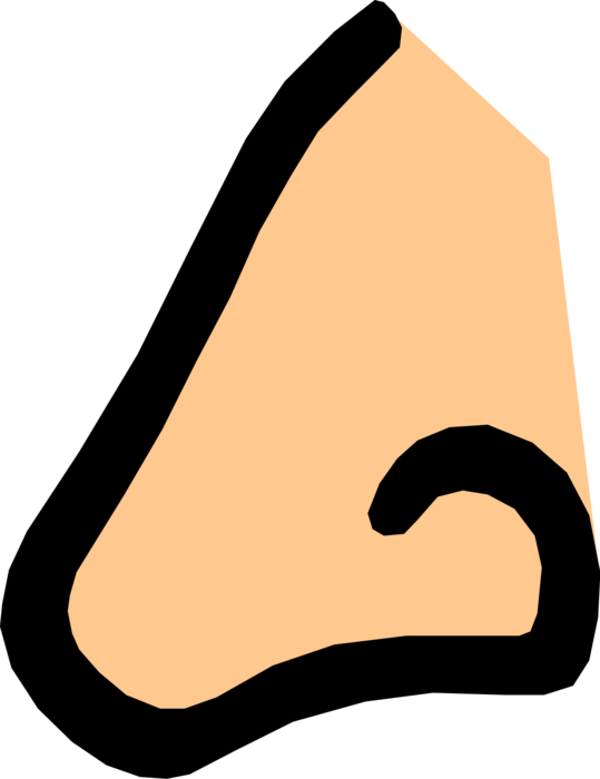 Vector Illustration of Human Nose for Breathing