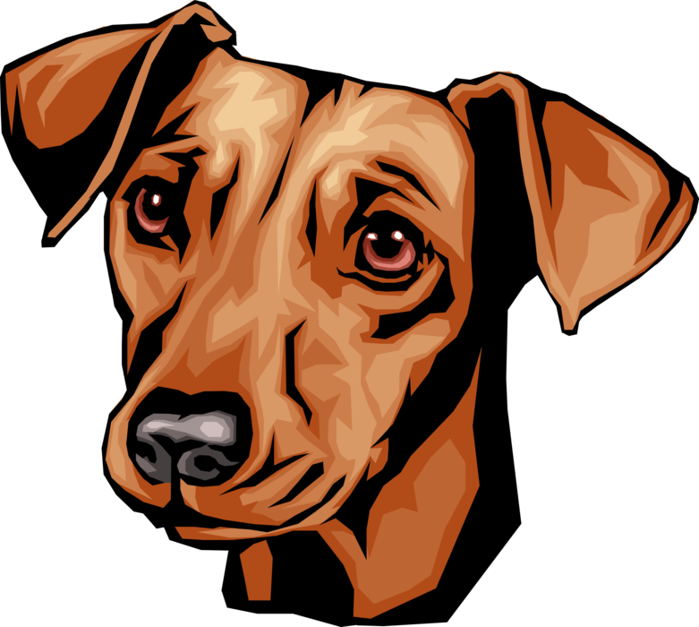 Vector Illustration of Cute Dachshund Dog Head