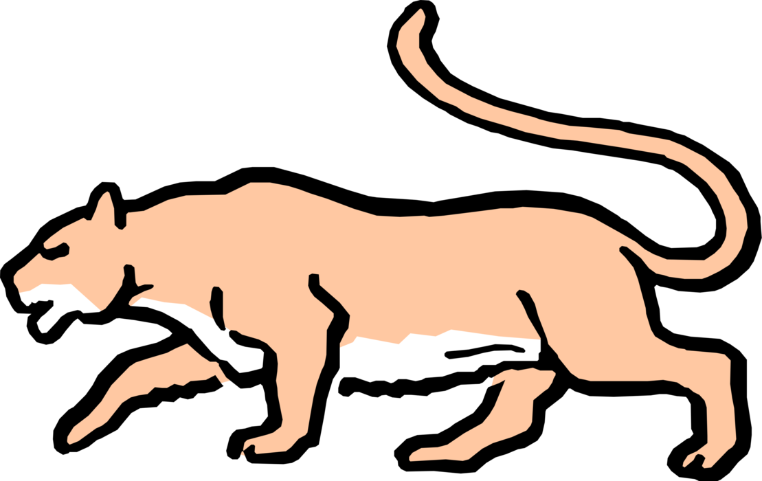 Vector Illustration of Cartoon Female Lion on the Prowl