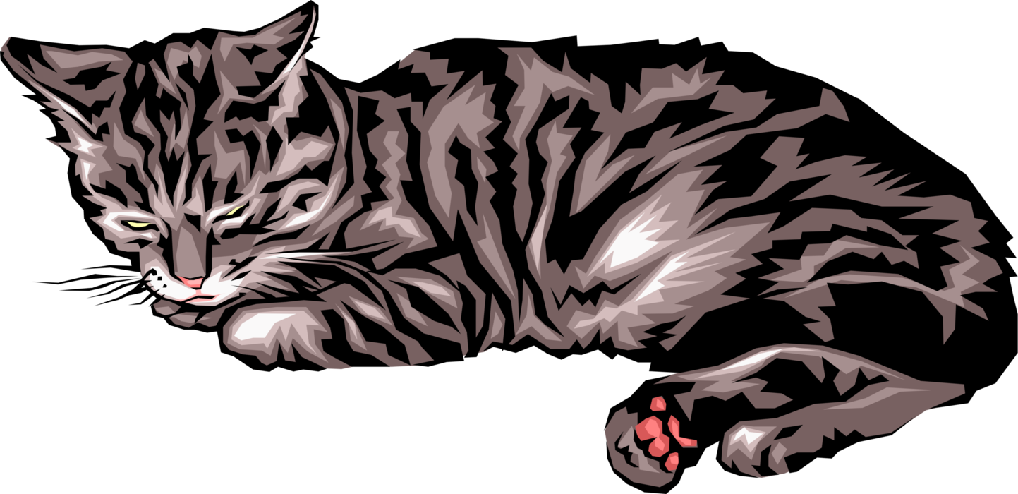 Vector Illustration of Small Carnivore Domesticated Sleeping Cat