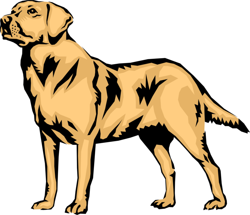 Vector Illustration of Family Pet Golden Labrador Retriever Dog
