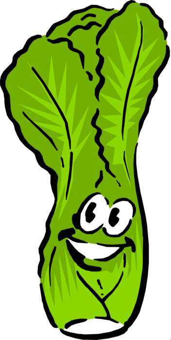 Vector Illustration of Anthropomorphic Bok Choy Edible Chinese Cabbage