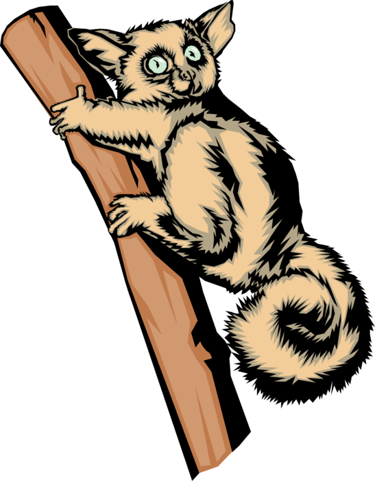 Vector Illustration of Bright-Eyed and Bushy-Tailed Lemur in Tree