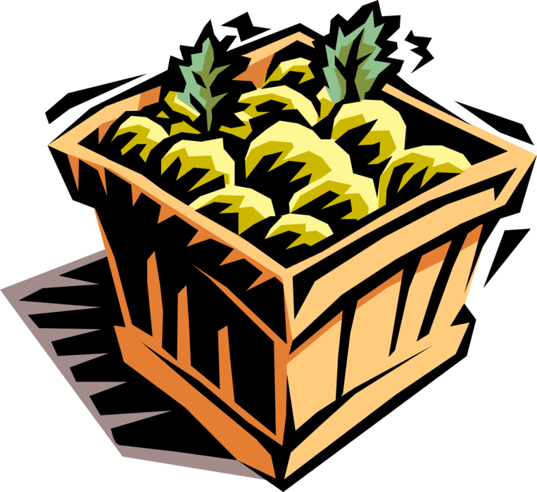 Vector Illustration of Shipping Case of Fresh Fruit Ready for Market