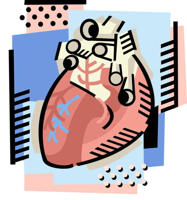 Vector Illustration of The Human Heart