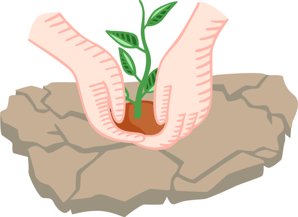 Vector Illustration of Hands Plant Seedling Tree in Parched Dry Soil