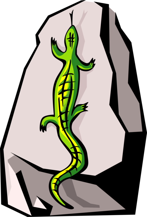 Vector Illustration of Reptile Lizard Climbs Rock