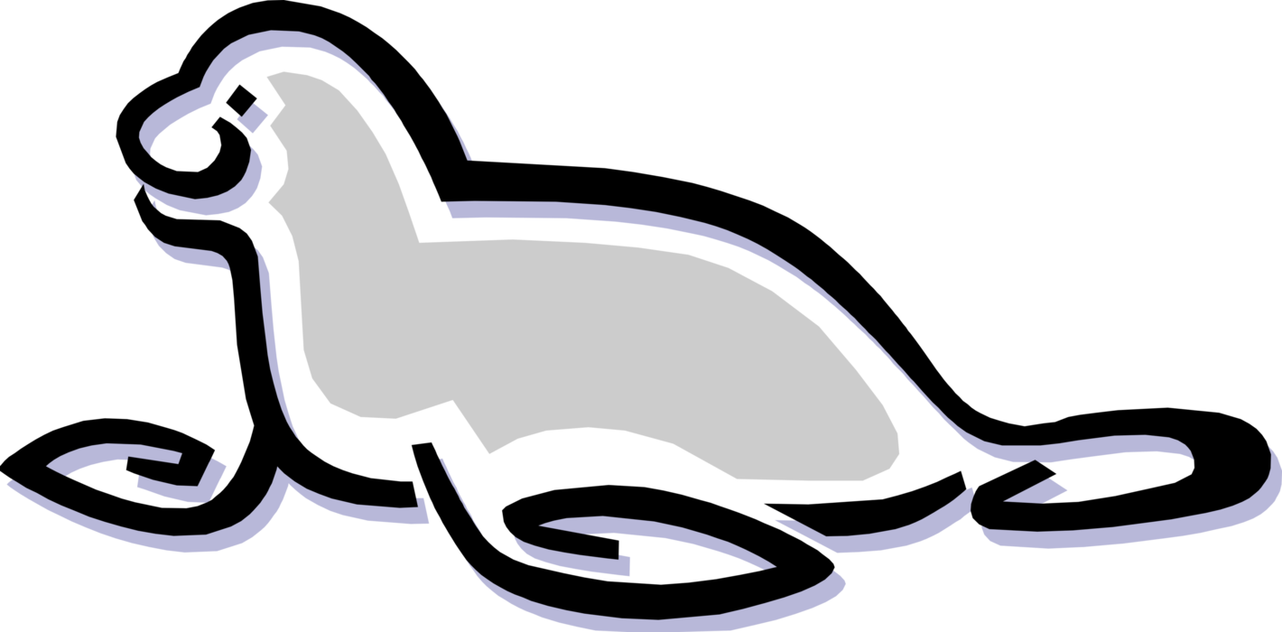 Vector Illustration of Harbor Seal