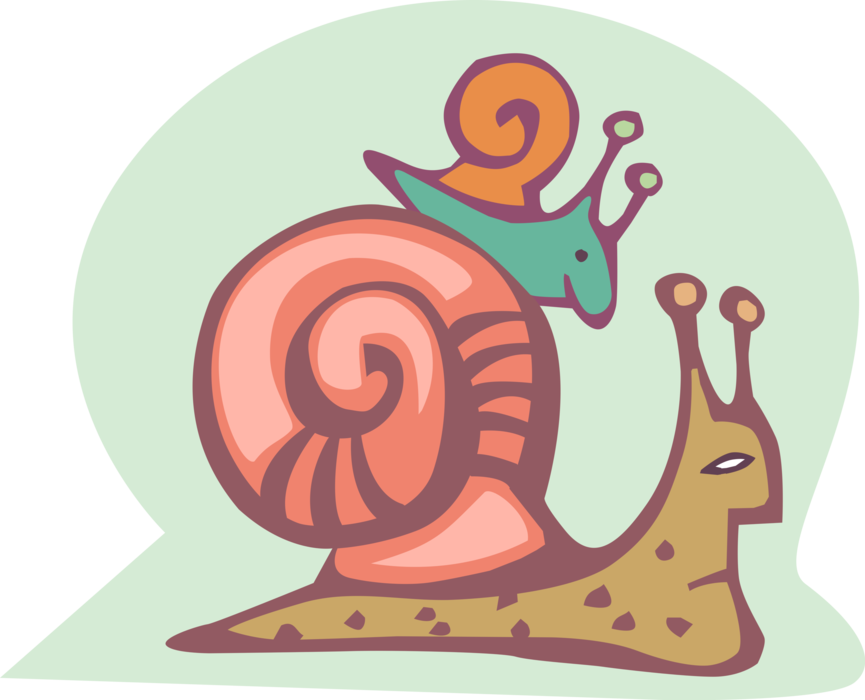 Vector Illustration of Snail or Terrestrial Gastropod Mollusks