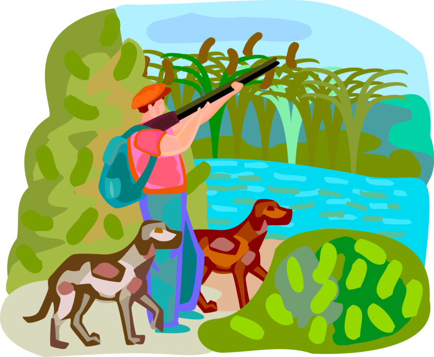 Vector Illustration of Fall Duck Hunting Season Hunter with Shotgun and Retriever Dogs