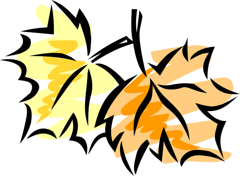 Vector Illustration of Autumn Leaves Turn Yellow and Brown