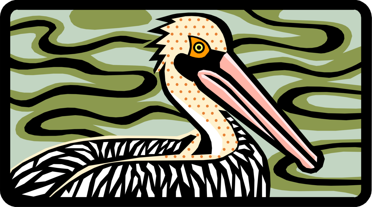 Vector Illustration of Pelican Bird Swimming