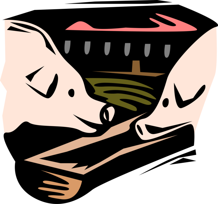 Vector Illustration of Pig Farm Pigs in the Pigsty Pigpen Enjoy Their Slop