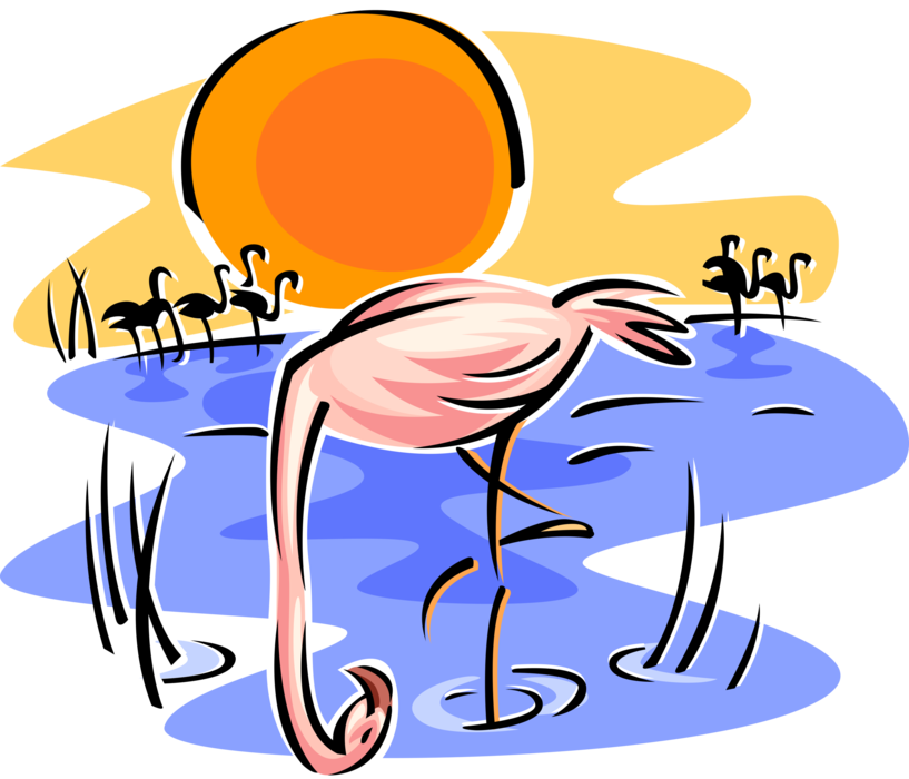 Vector Illustration of Pink Flamingo Wading Bird Stands in Water as Sun Goes Down