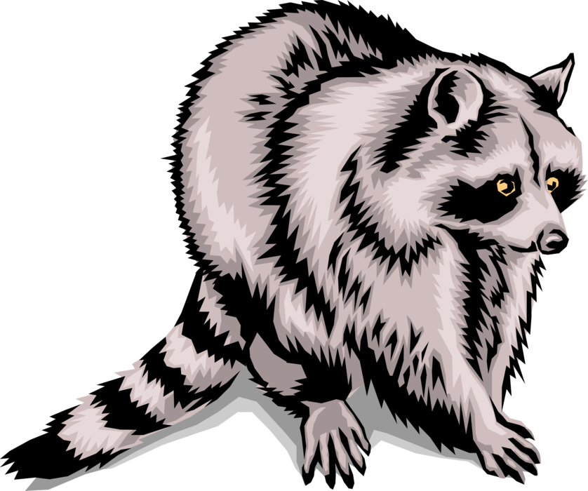 Vector Illustration of North American Medium-Sized Mammal Raccoon