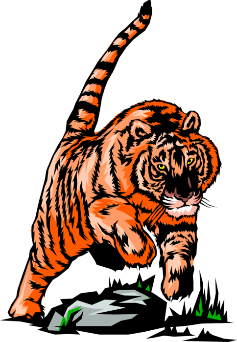 Vector Illustration of Royal Bengal Tiger from from Nepal, Bhutan, Assam, Uttarakhand and West Bengal Lunges at Prey